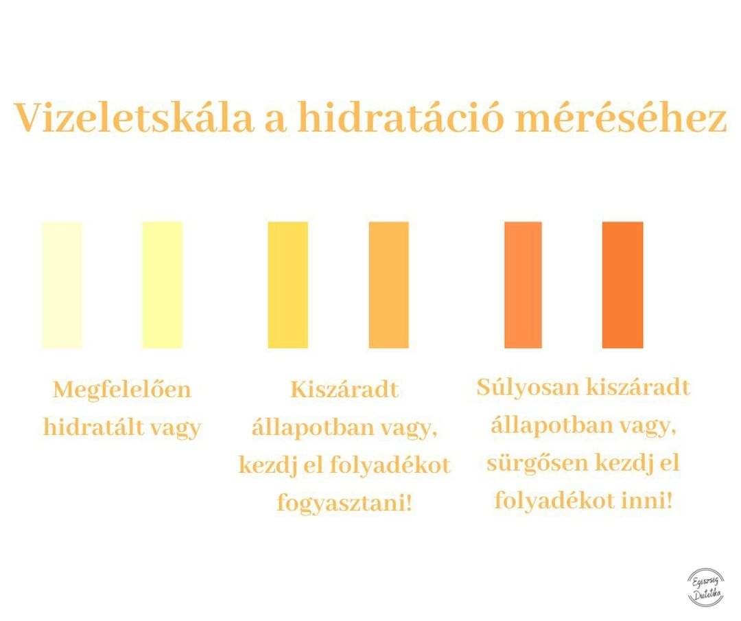 vizeletskala