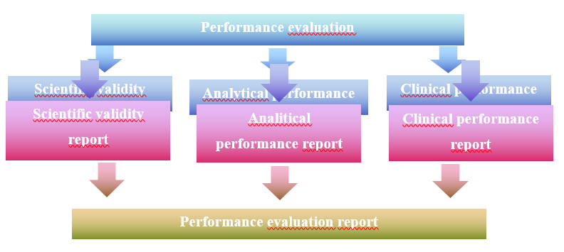 performance evaluation process