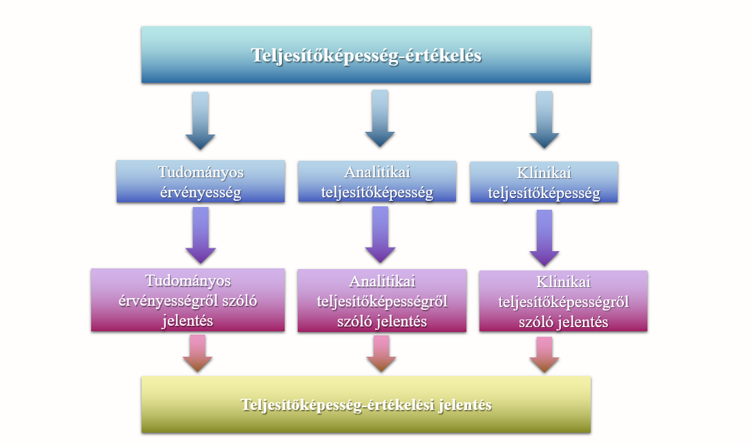 teljesitokepesseg ertekeles folyamata