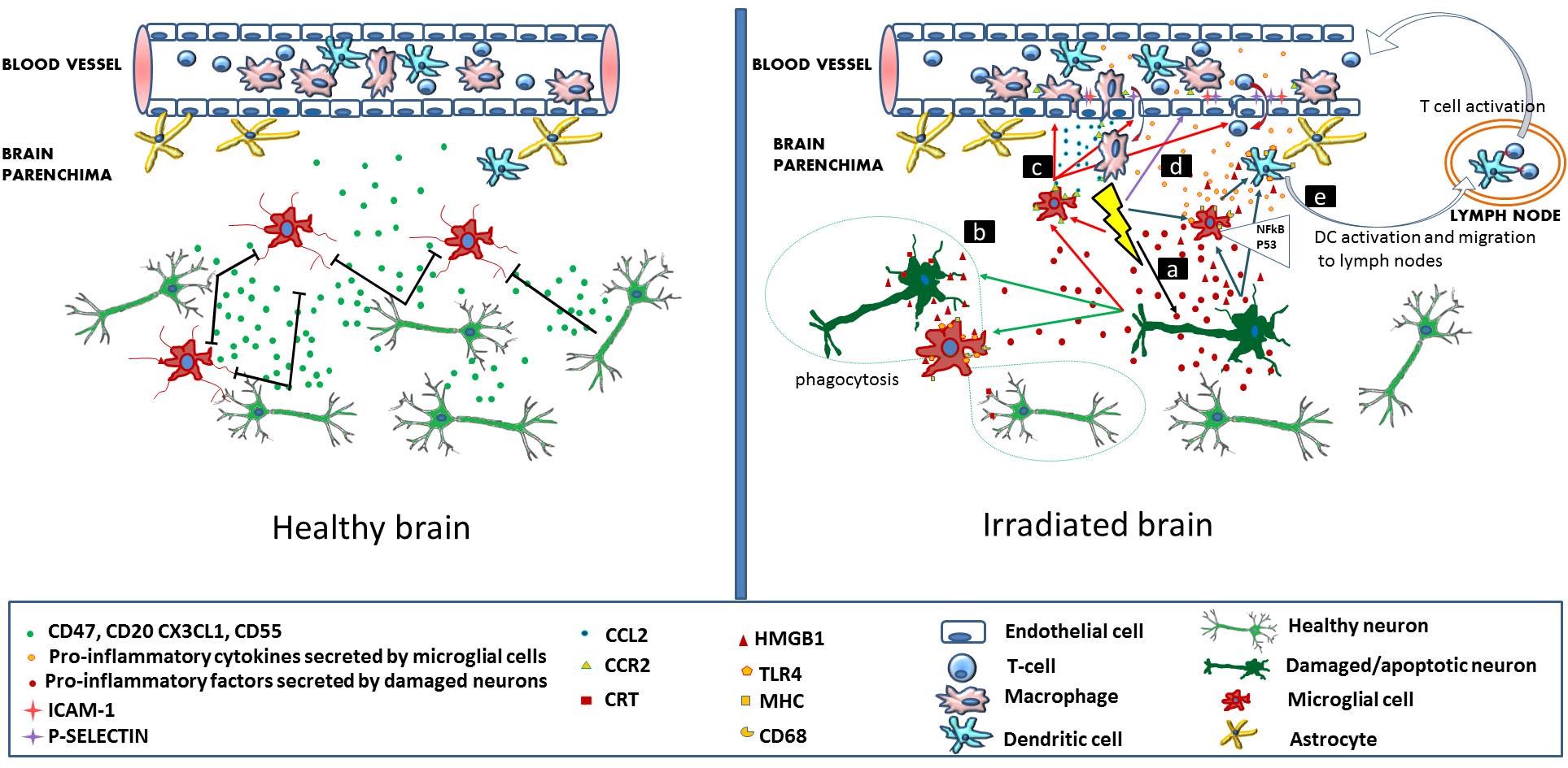2 ábra Kutatási tevékenység