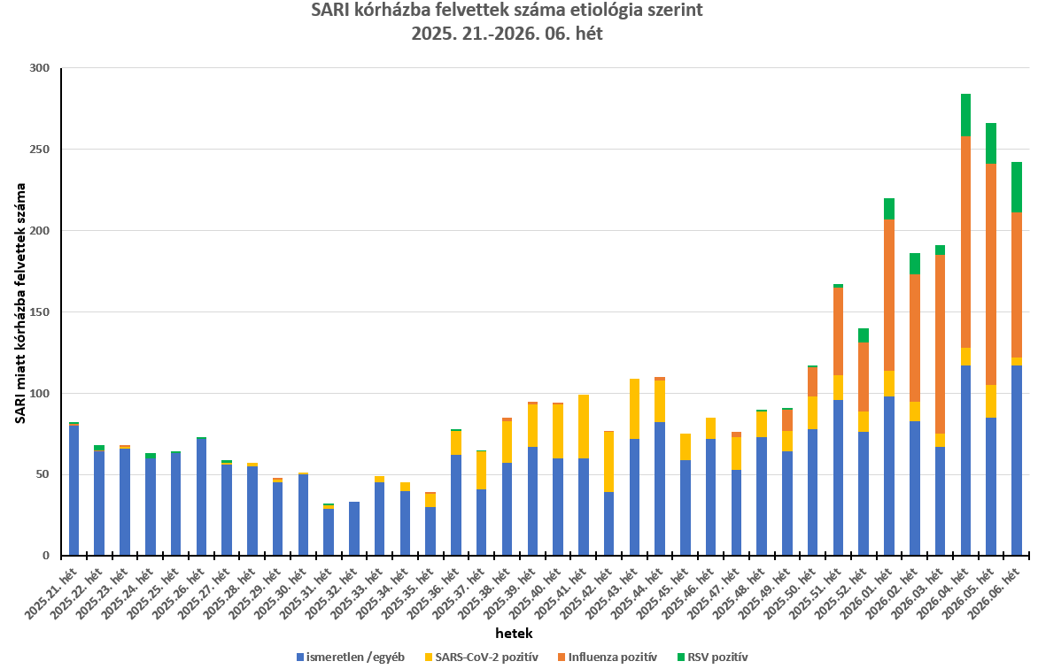 integralt leguti 2026 06 1