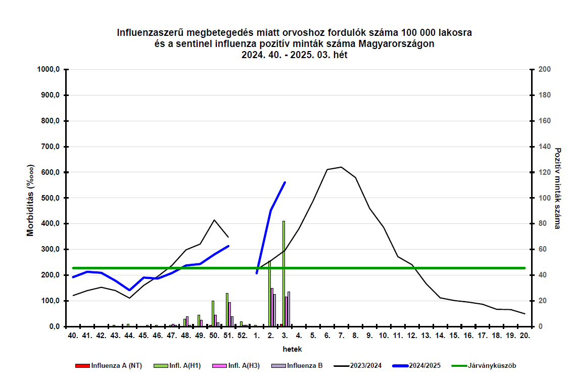 integralt leguti 2025 03 6