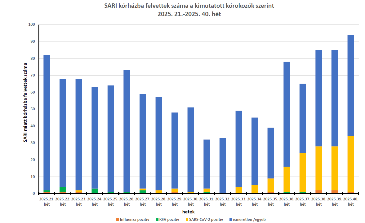 integralt leguti 2025 40 1