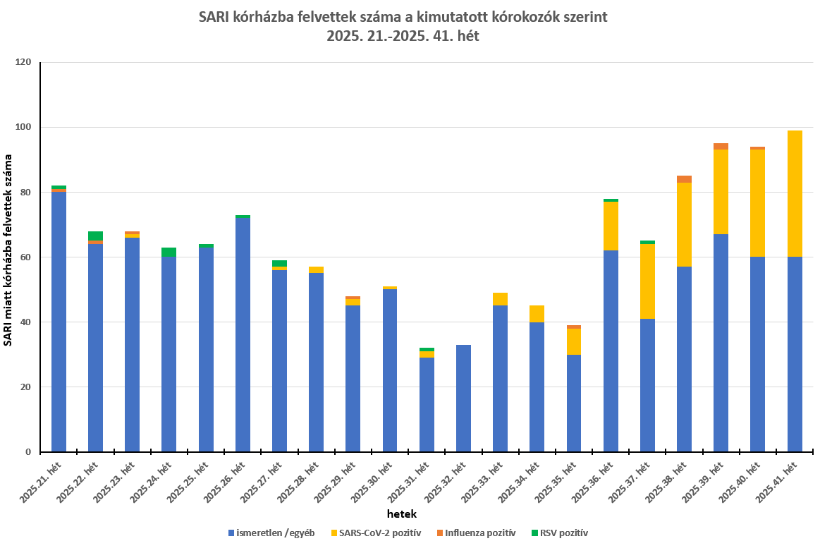 integralt leguti 2025 41 1