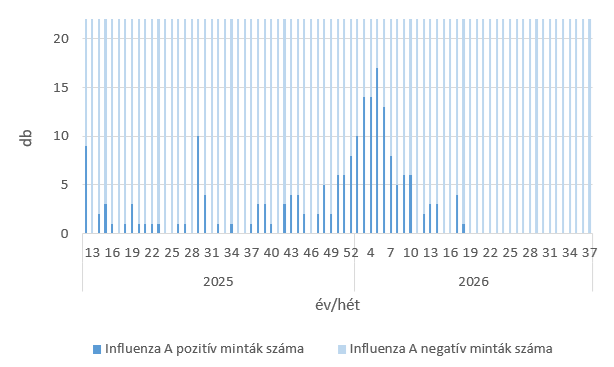 2026.37.hét szennyvíz 5 kép