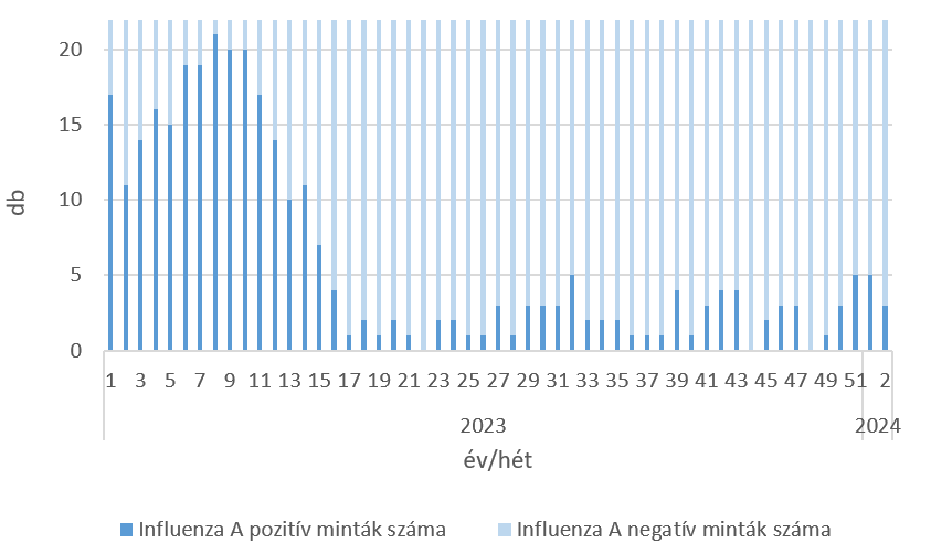 szennyviz 2024 02 5