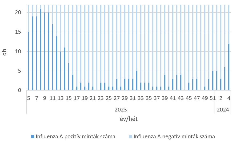 szennyviz 2024 04 6