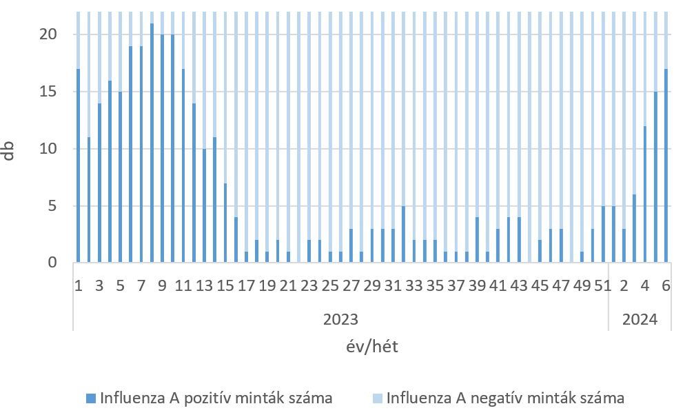 szennyviz 2024 06 6