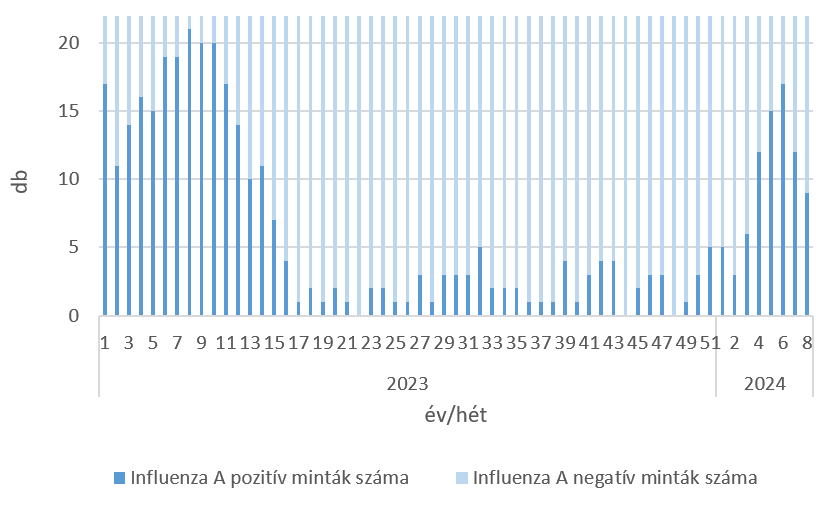 szennyviz 2024 08 6