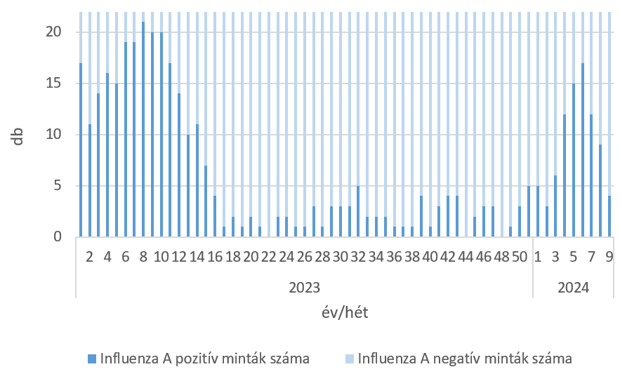 szennyviz 2024 09 6