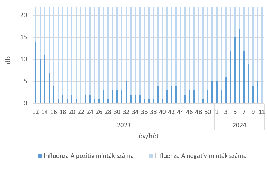 szennyviz 2024 11 6