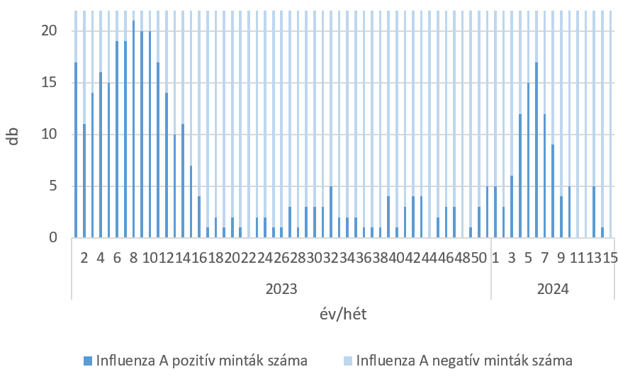 szennyviz 2024 15 6