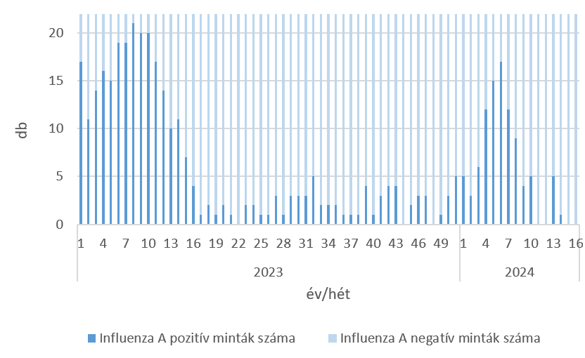szennyviz 2024 16 6