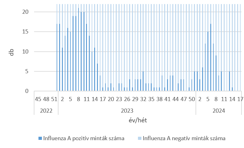 szennyviz 2024 17 6