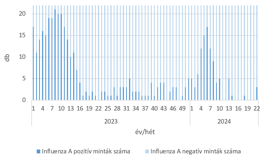 szennyviz 2024 22 6