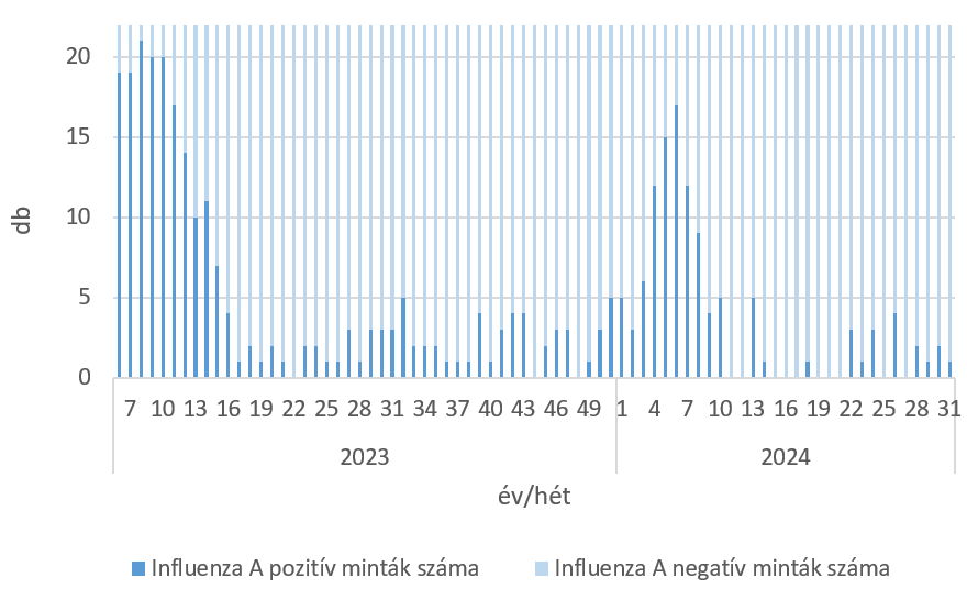 szennyviz 2024 31 6