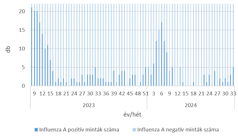 szennyviz 2024 33 6