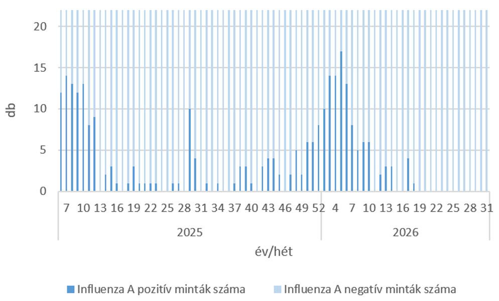 szennyviz 2026 31 5