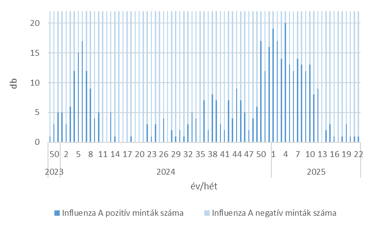 szennyviz 2025 22 6