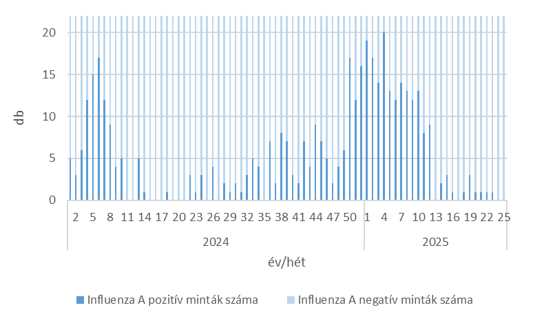 szennyviz 2025 25 6
