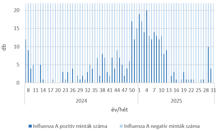 szennyviz 2025 31 5